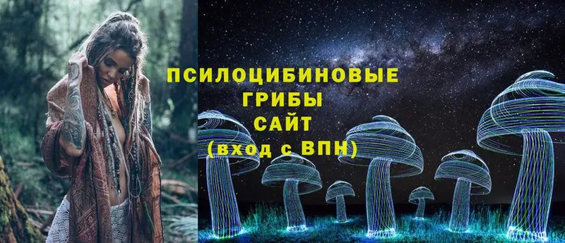 Галлюциногенные грибы MAGIC MUSHROOMS  цена   Волчанск 